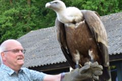 Roofvogelshow-De-Edelzanger-16